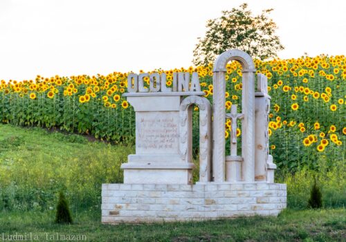 Consiliul Comunal Ocolina se Reunește pentru a Pregăti Localitatea pentru Sezonul Rece și a Revizui Bugetul