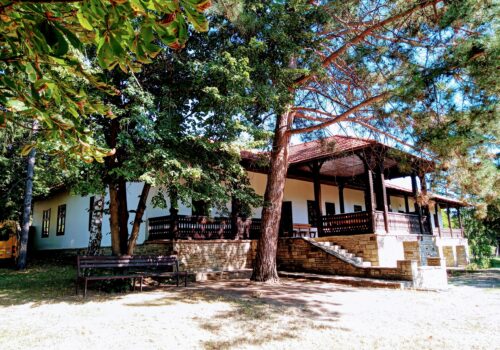 Conacul “Zamfir Ralli-Arbore”: Un Tezaur Istoric al Moldovei, Redescoperit și Revitalizat