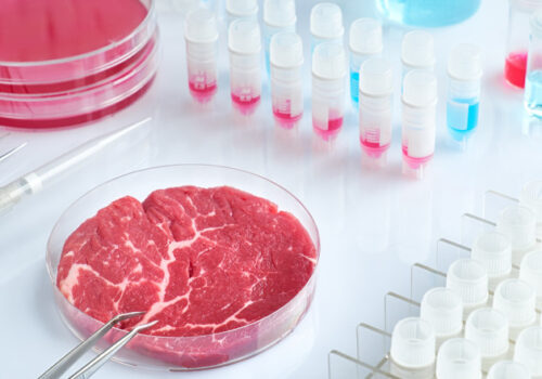 România va produce carne în laborator