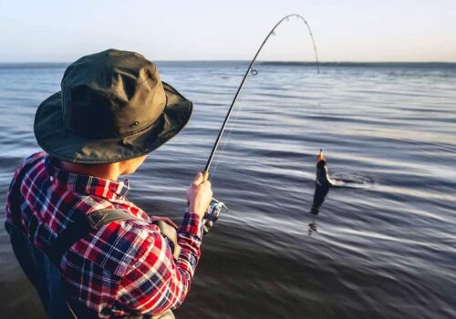 Amenzi de mii de lei în loc de pește