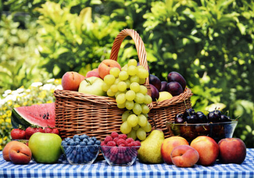 Fiecare a patra țară din lume a gustat fructe din Republica Moldova