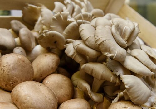 Ciupercile vă pot pune viața în pericol. Fiți atenți de unde le cumpărați sau le culegeți!