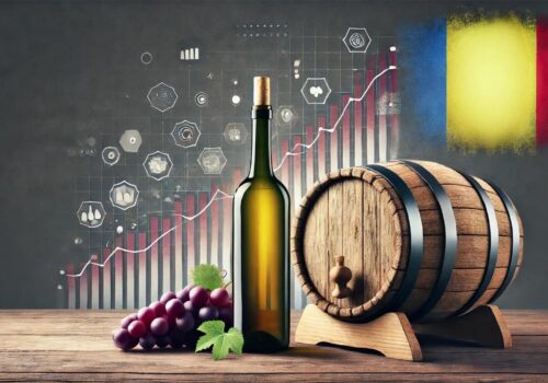 Producția de vinuri în Municipiul Chișinău continuă să fluctueze: Creșteri și scăderi semnificative în ultimii ani