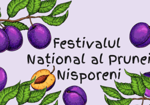 Festivalul Național al Prunei revine în Nisporeni: Fonduri alocate pentru promovarea tradițiilor locale