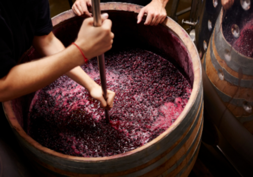 Consumat moderat, mustul are beneficii asupra organismului