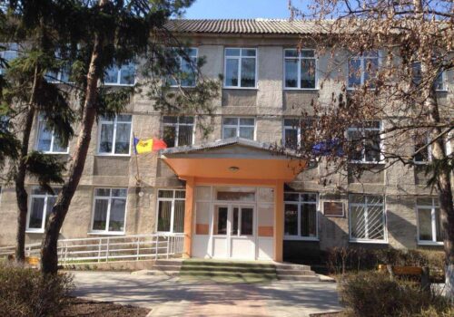 Proiectul de renovare a terenului sportiv din Văsieni, aprobat de Consiliul Sătesc