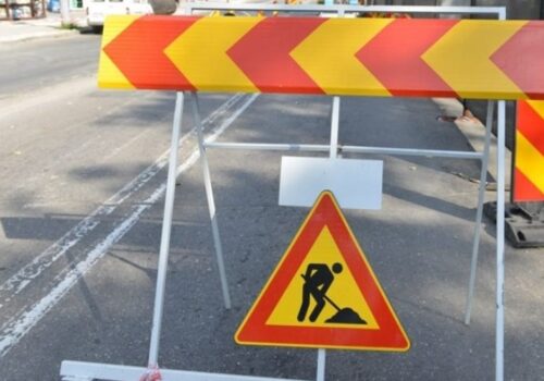 Copaci decorativi în loc de  tei