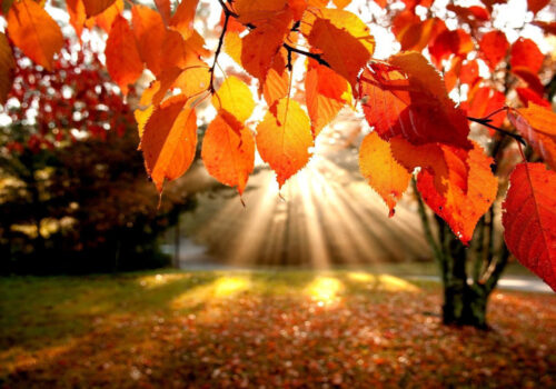 Începe toamna astronomică. Duminică va avea loc echinocțiul de toamnă, când ziua este egală cu noaptea