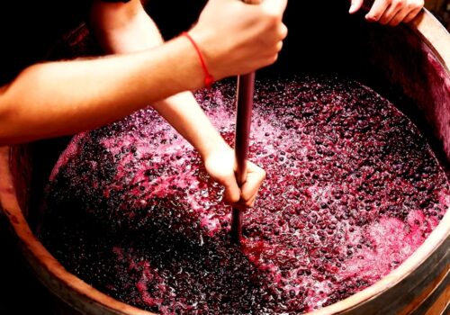 Atenție la riscurile asociate intoxicațiilor cu dioxid de carbon în procesul de fermentare a vinului