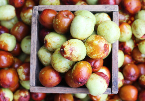 VIDEO//  Crește cererea de ziziphus în Moldova