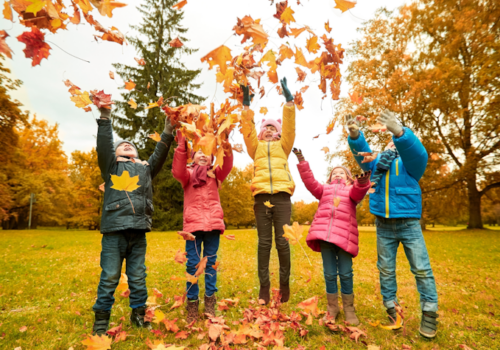 Elevii încep vacanța de toamnă pe 28 octombrie și vor reveni la cursuri pe 4 noiembrie