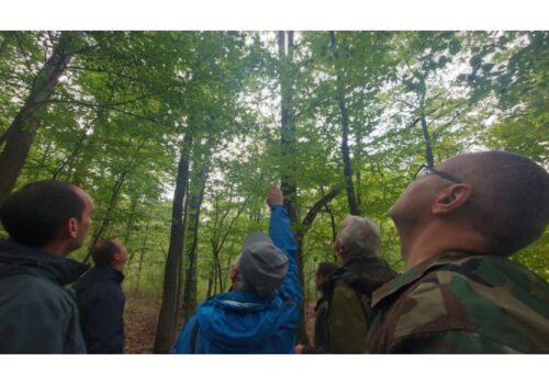 FOTO// Silvicultorii din Republica Moldova și România au elaborat un program pentru protecția pădurilor