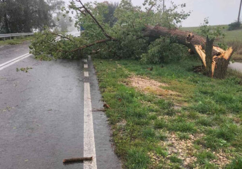 FOTO//Trei sectoare de drumuri naționale blocate din cauza ploilor abundente