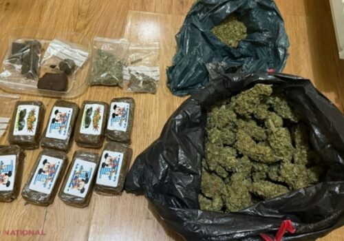 VIDEO// Captură impresionantă: 10 kg de droguri, în valoare de peste 3,5 milioane de lei, confiscate de poliție