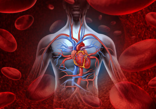 ANSP: Nouă din zece moldoveni mor din cauza bolilor netransmisibile