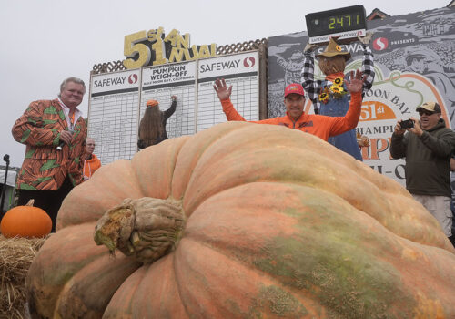 VIDEO// Cel mai mare dovleac din lume cântărește 2.471 de kilograme