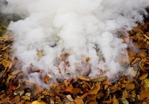 Moldovenii care ard frunzele riscă amenzi usturătoare