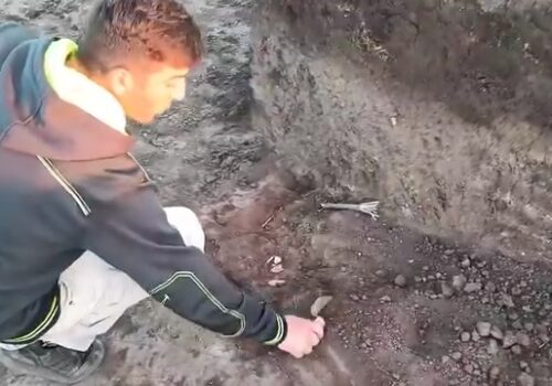 Noi complexe funerare din epoca bronzului descoperite în Tumulul 20 de la Ordărșei