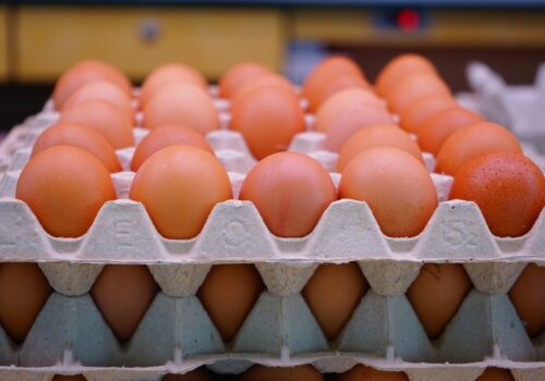Ouăle din nordul țării intră pe piața Uniunii Europene