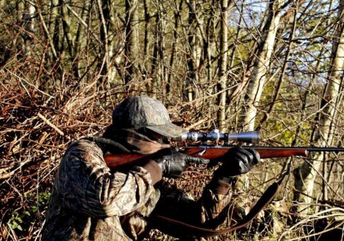 Doi bărbați prinși în flagrant la o vânătoare ilegală în raionul Ungheni