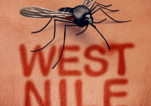 Un nou caz de infecție cu virusul West Nile confirmat în Republica Moldova. Pacienta, recent întoarsă din Italia