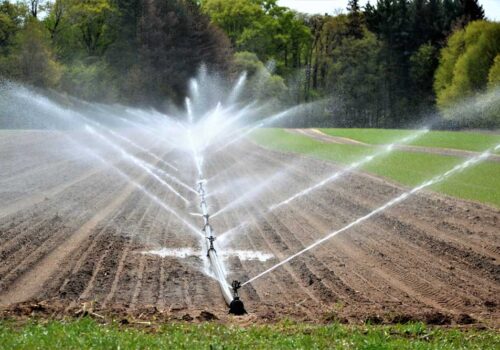 VIDEO//Peste 100 de fermieri din raionul  Ștefan Vodă s-au asociat pentru construcția unui sistem de irigare