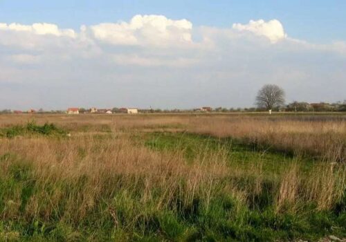 Primăriile vor prelua administrarea terenurilor agricole nelucrate