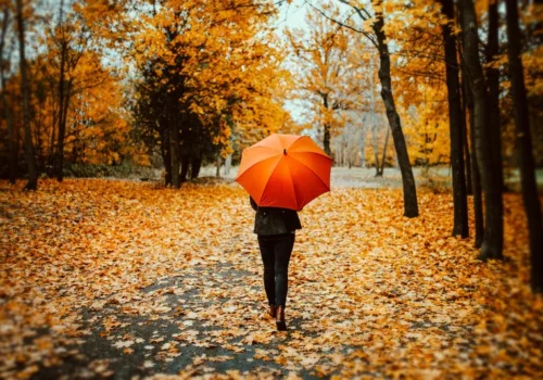 Se anunță zile de toamnă reci, cu temperaturi în scădere semnificativă