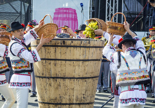 Atenție, șoferi! Traficul rutier va fi suspendat de Ziua Națională a Vinului