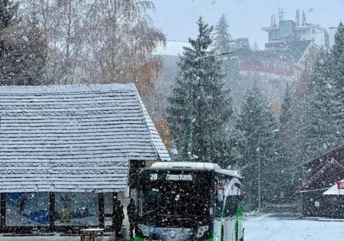 FOTO// Ninge în România: primii fulgi de nea au căzut la Brașov