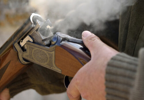 Peste 3 200 de arme au fost ridicate de la începutul anului curent