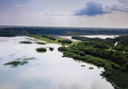 Delapidare de fonduri europene la Rezervația „Prutul de Jos”: 10 milioane de lei furați