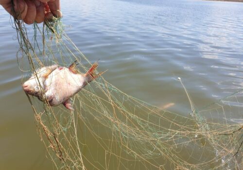 A pescuit o amendă de mii de lei, în loc de pește