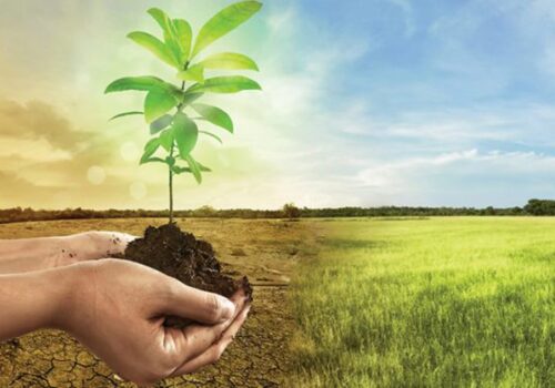 Republica Moldova ar putea accesa un împrumut de 200 de milioane de euro pentru extinderea pădurilor și combaterea schimbărilor climatice