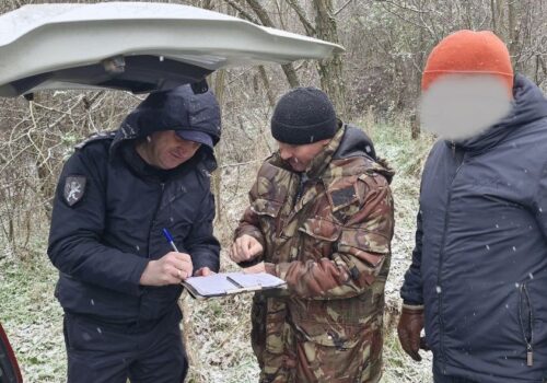 TĂIERE ILEGALĂ DE ARBORI LA CODREANCA: PREJUDICIU DE PESTE 13.000 DE LEI CAUZAT MEDIULUI ȘI COMUNITĂȚII