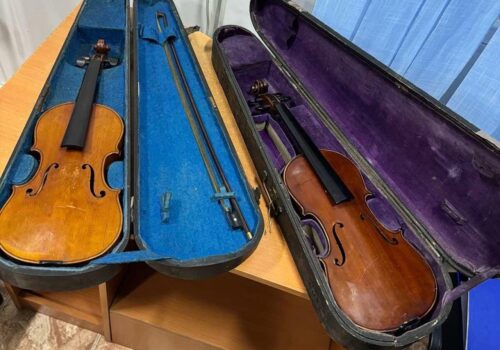 DOUĂ VIORI DE VALOARE CULTURALĂ, DESCOPERITE LA VAMA COSTEȘTI