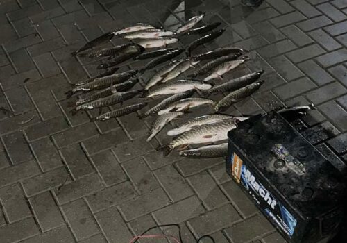 Pescuit ilegal pe râul Prut: Daune de 80.000 de lei aduse mediului