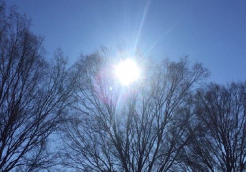 VREME CALDĂ, CU SOARE ȘI ȘANSE REDUSE DE PRECIPITAȚII PENTRU SĂPTĂMÂNA VIITOARE