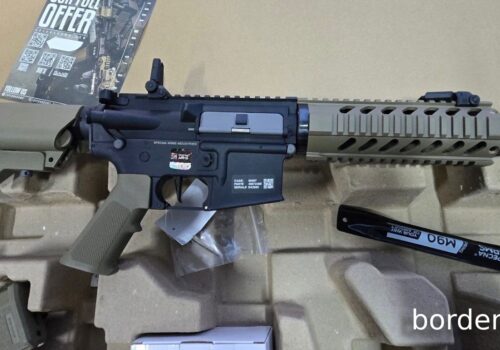 TENTATIVĂ DE INTRODUCERE ILEGALĂ A UNEI ARME PNEUMATICE, DEJUCATĂ ÎN PTF COSTEȘTI