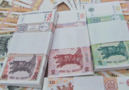 VIDEO// DOI BĂRBAȚI REȚINUȚI PENTRU O ESCROCHERIE DE PESTE 4 MILIOANE DE LEI