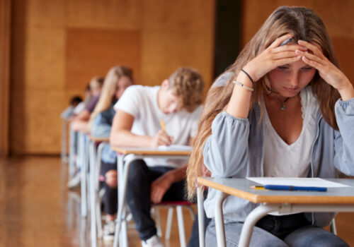 ELEVII ALOLINGVI VOR FI SCUTIȚI DE EXAMENUL DE BACALAUREAT LA LIMBA DE STAT DACĂ VOR PREZENTA UN CERTIFICAT DE COMPETENȚĂ LINGVISTICĂ