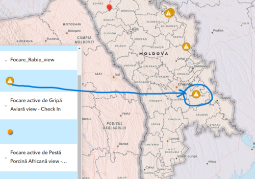 FOCAR DE RABIE ÎN LOCALITATEA COBUSCA NOUĂ: ANIMALELE DIN ZONĂ, SUPUSE VACCINĂRILOR ANTIRABICE