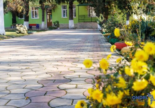 Proiectul „Sat Modern European” a adus schimbări majore în Valea Mare