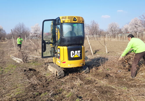 PLANTAȚIILE NEPRODUCTIVE VOR PUTEA FI DEFRIȘATE MAI UȘOR