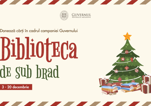 Guvernul lansează a treia ediție a campaniei „Biblioteca de sub brad” pentru colectarea de cărți destinate copiilor