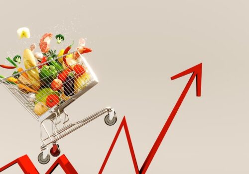 INFLAȚIA ÎN REPUBLICA MOLDOVA A CRESCUT CU 7% ÎN 2024, CU MAJORĂRI SEMNIFICATIVE LA ALIMENTE ȘI SERVICII