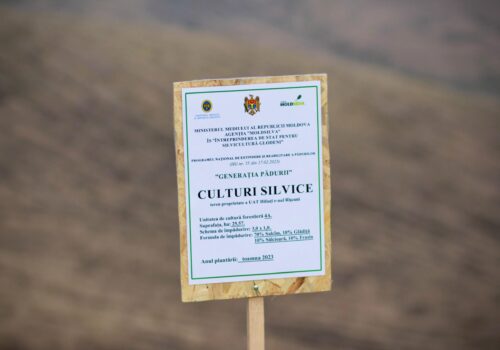 SATUL HILIUȚI FACE PAȘI SPRE UN MEDIU MAI VERDE PRIN PLANTAREA A PESTE 25 DE HECTARE DE COPACI