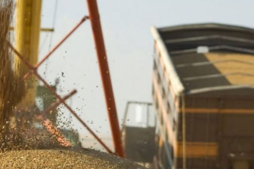 RESTRICȚIILE LA IMPORTUL DE CEREALE ȘI OLEAGINOASE AR PUTEA FI ELIMINATE