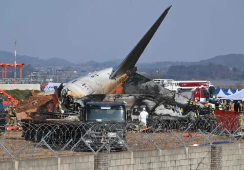 PENE DE PASĂRE ŞI SÂNGE AU FOST GĂSITE ÎN MOTOARELE AVIONULUI JEJU AIR CARE S-A PRĂBUŞIT ÎN COREEA DE SUD