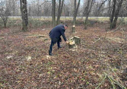 TĂIERI ILEGALE ȘI BRACONAJ ÎN EDINEȚ: PREJUDICII DE PESTE 19.000 LEI